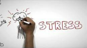 Understanding pain in less than 5 minutes